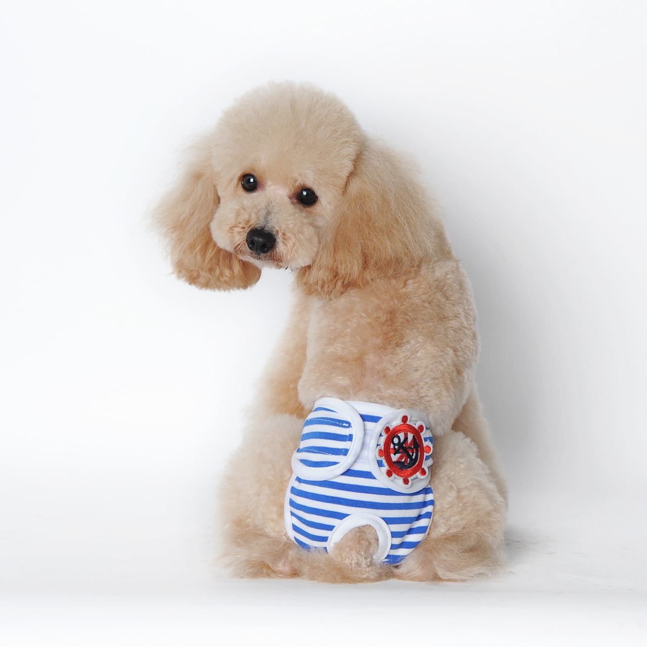 Hot Selling Pet Physiological Sanitary Panties Reusable Female Dog Diapers With Adjustable Tighten Strap