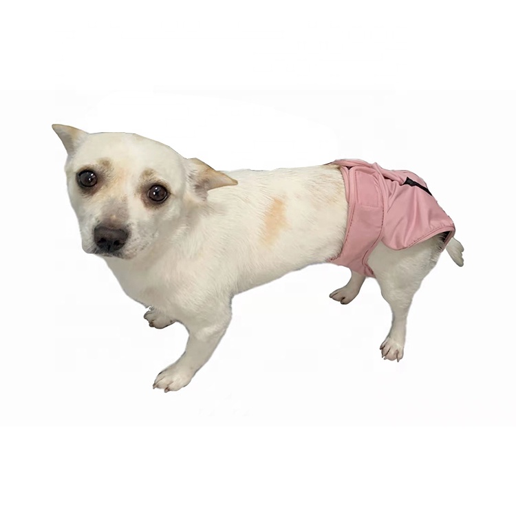 2021Factory Hot Sale High Quality Healthful And Harmless Dog Period Pants Panties Dog Diapers Female