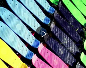 Fish Skateboard Video